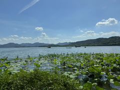 -湖畔居茶楼(湖滨店)