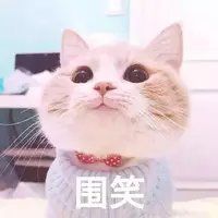 -书亦烧仙草(印象汇都市店)