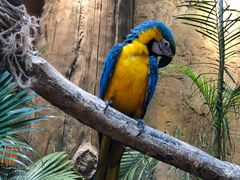 -杭州开元森泊度假乐园