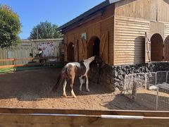 -HERRE·FARM 赫尔露营农场·团建聚会包场