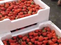-西郊国际农产品交易中心