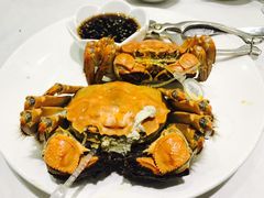 -新花城蟹粉馆(乌鲁木齐店)