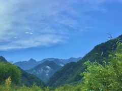 -朱雀国家森林公园