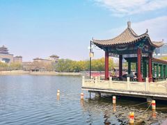 -莲花池公园