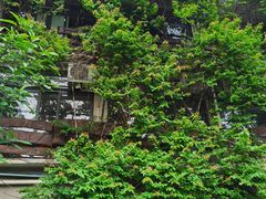-广州市紫泥堂文化创意园景区