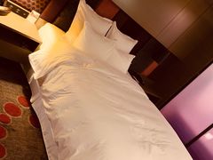 -南京禄口机场雅高铂尔曼大酒店