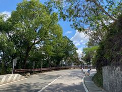 -梧桐山风景名胜区