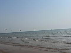 -唐山游泳馆(运动场馆)