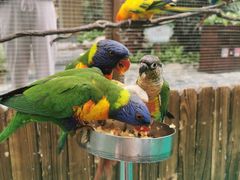 -杭州开元森泊度假乐园