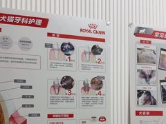 -守诺宠物医院·眼科· 特色牙科·异宠专科(虹口店)