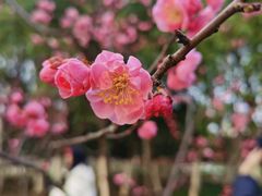 -滨湖塘西河公园