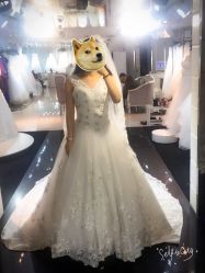 -韩国天使嫁衣婚纱礼服馆(上海旗舰店)