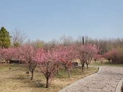 -江苏三台山国家森林公园
