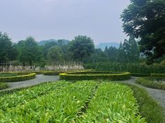 -青城山六善酒店·紫氣園中餐厅