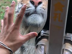 -西安秦岭野生动物园