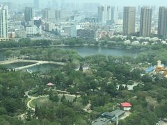 -君悦酒店·乐厨·高空自助餐(青年大街店)