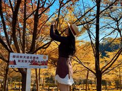 -田野绿世界