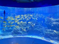 -海合安成都极地海洋公园