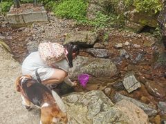 -藏龙百瀑风景区