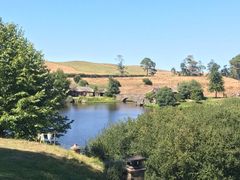 -怀托摩萤火虫洞