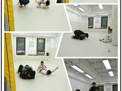 -菠萝格斗巴西柔术训练馆