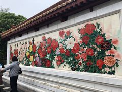 -神州牡丹园