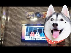 -东方之珠KTV娱乐超市(河北店)