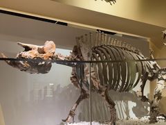 -国家自然博物馆