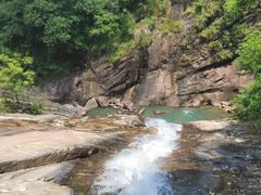 -广州白江湖森林公园