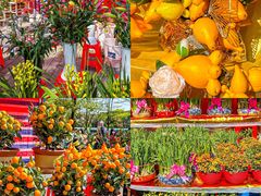 -文华公园(禅城区)