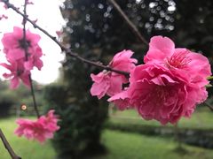 -天赐温泉