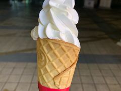 -蜜雪冰城·冰淇淋与茶(福大店)