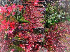 -丹山赤水风景名胜区
