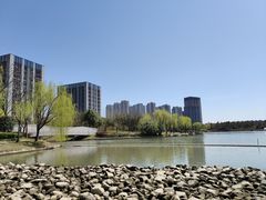 -南翔镇银翔湖公园