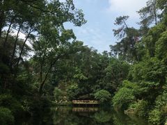-南山植物园
