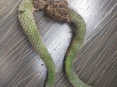 -广州四季酒店·天吧·高空酒吧