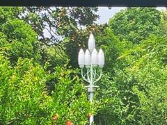 -浙江西子宾馆·牡丹厅