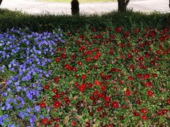 -星巴克(宝山万达店)