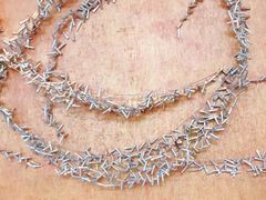 -上海浦东嘉里大酒店