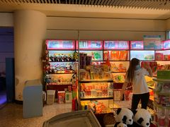 -绵阳南郊机场