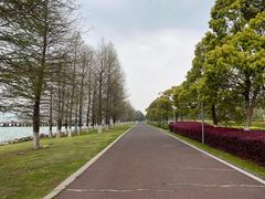 -苏州东太湖生态园
