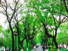 -苏堤停车场