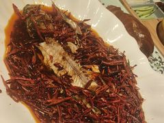 -百姓渔村(南中环店)