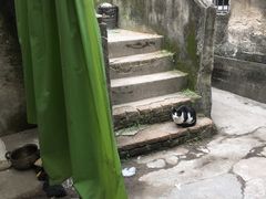 -二楼南书房