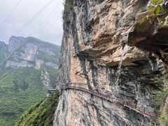 -鹿院坪生态旅游景区