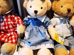 -成都泰迪熊博物馆