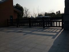 -中国扬子鳄村