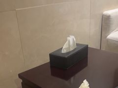 -郑州新郑国际机场T2航站楼-贵宾厅B区