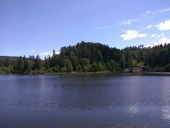 -五营红松林海景区