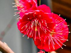 -静安雕塑公园